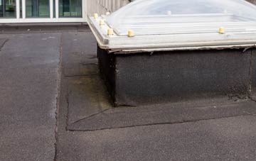 disadvantages of Newton St Cyres flat roofs