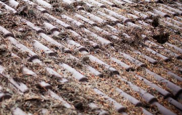 Newton St Cyres roof cleaning companies