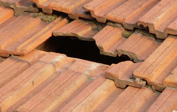 roof repair Newton St Cyres, Devon